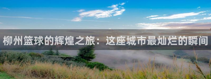 柳州篮球的辉煌之旅：这座城市最灿烂的瞬间