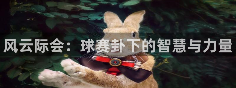 风云际会：球赛卦下的智慧与力量