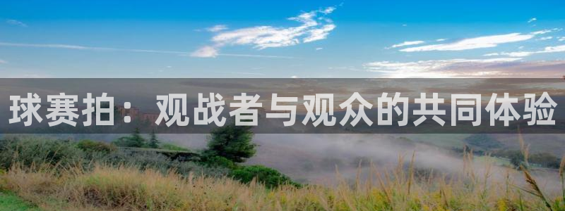 悟空体育app最新版本更新内容介绍：球赛拍：观战者与观众的共