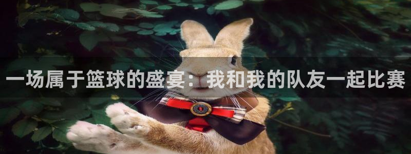 悟空体育客服：一场属于篮球的盛宴：我和我的队友一起比赛
