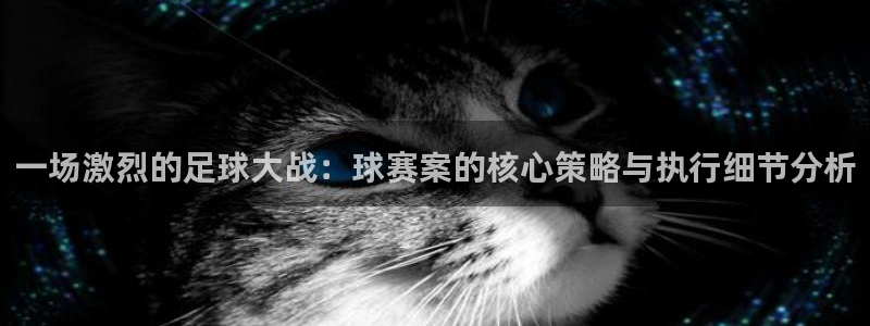 悟空体育平台app官方网站最新版本更新内容：一场激烈的足球大
