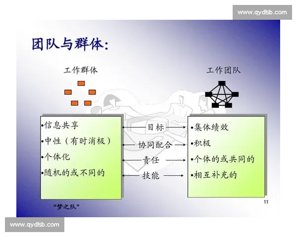 体育团队管理策略与绩效提升实践研究与应用探索
