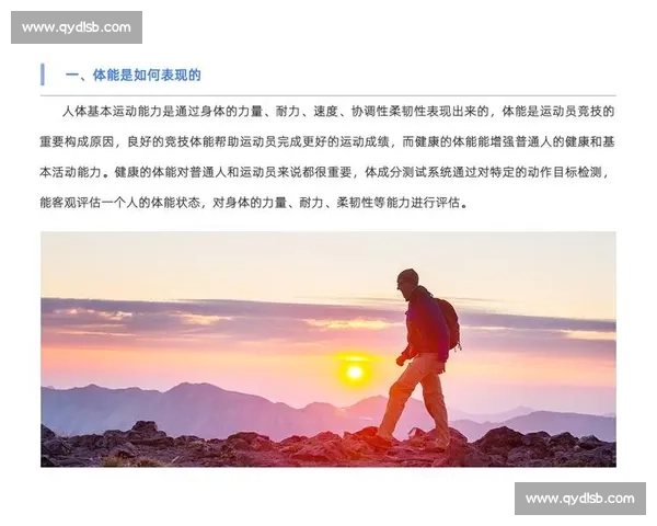 高效提升体能的训练强度与计划优化策略解析